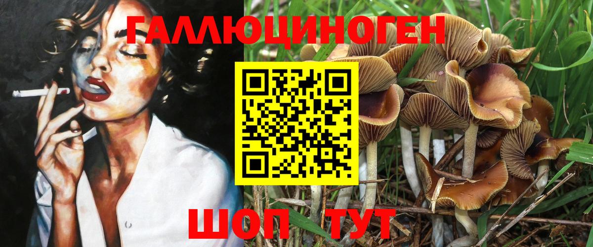 Галлюциногенные грибы мухоморы  Псилоцибиновые грибы прущие грибы  Вход с VPN  Семилуки 