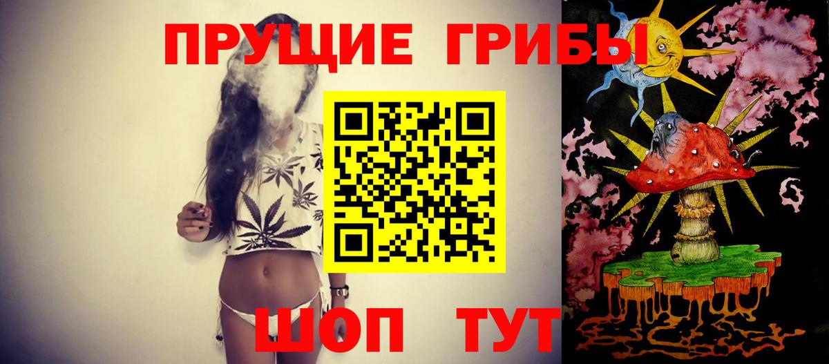 Псилоцибиновые грибы GOLDEN TEACHER Семилуки